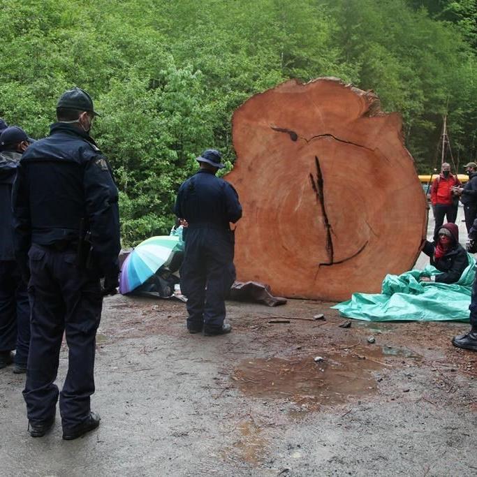 RCMP watchdog probes B.C. police, as protesters launch lawsuit alleging abuse